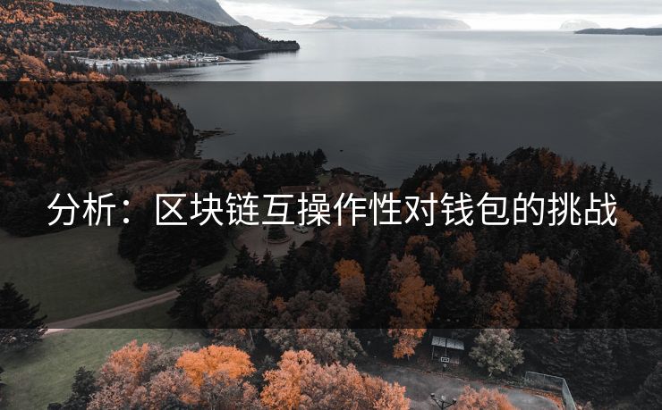 分析：区块链互操作性对钱包的挑战