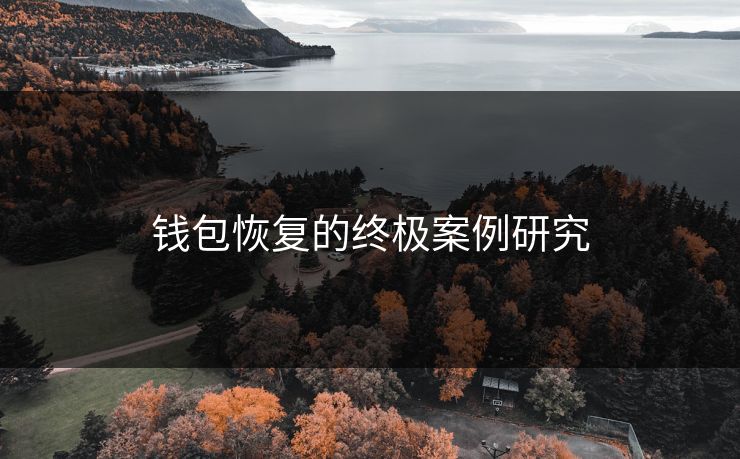 钱包恢复的终极案例研究