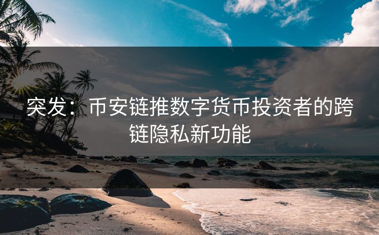 突发：币安链推数字货币投资者的跨链隐私新功能