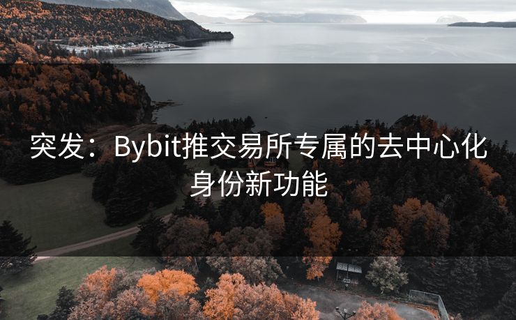 突发:Bybit推交易所专属的去中心化身份新功能