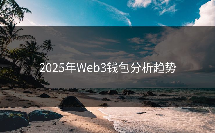 2025年Web3钱包分析趋势 2025年Web3钱包分析趋势