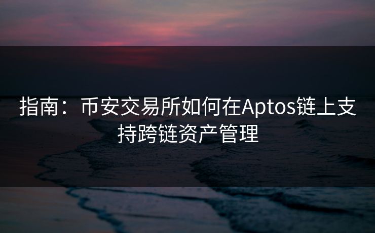 指南:币安交易所如何在Aptos链上支持跨链资产管理 指南:币安交易所如何在Aptos链上支持跨链资产管理